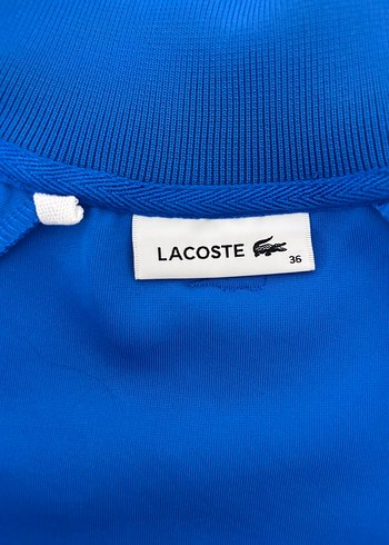 Mavi Fermuarlı Kadın Eşofman Takımı - Görsel 6