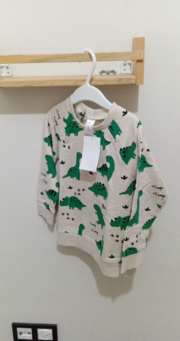 Renkli Dinozor Desenli Erkek Sweatshirt - Görsel 4