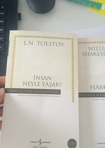 İnsan Neyle Yaşar? ve Hamlet Romanları