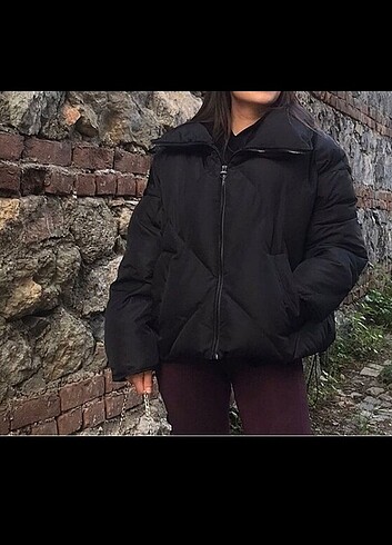 Siyah mont
