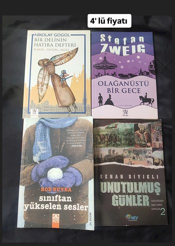 4 lü edebiyat kitapları