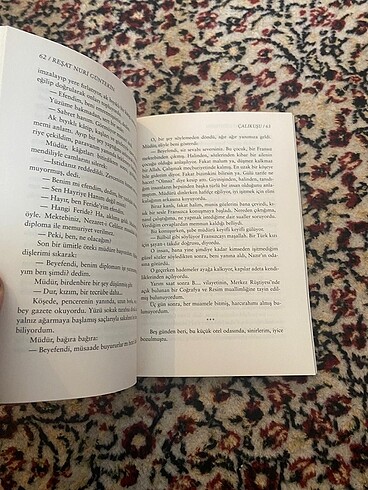  Beden Renk Reşat Nuri Güntekin Çalıkuşu kitabı