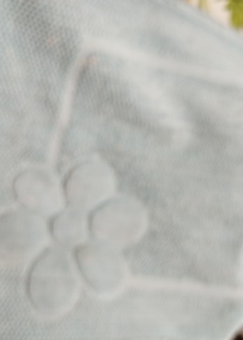 Mavi Nakışlı Pastel Banyo Paspası - Görsel 2