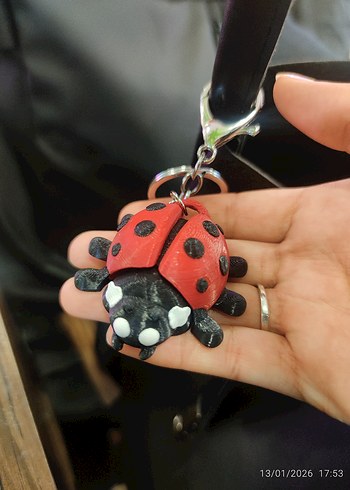 Kırmızı Tokalı Biker Uğurböceği Kadın Anahtarlık - Görsel 2