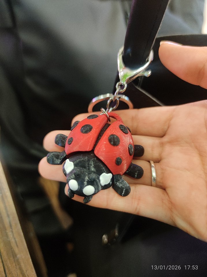 Kırmızı Tokalı Biker Uğurböceği Kadın Anahtarlık - Görsel 2