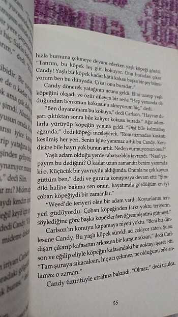  Fareler ve insanlar