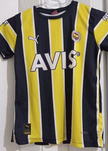 Fenerbahçe Kısa Kollu Erkek Forma Takımı - Görsel 2