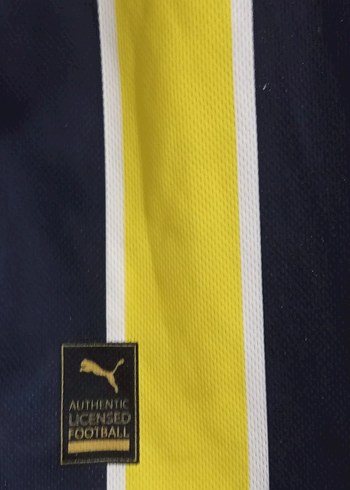 Fenerbahçe Kısa Kollu Erkek Forma Takımı - Görsel 3