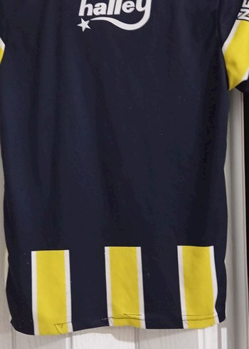 Fenerbahçe Kısa Kollu Erkek Forma Takımı - Görsel 4