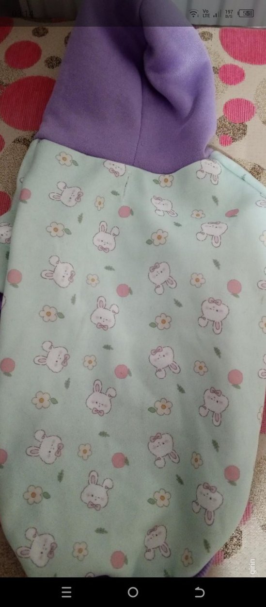 Pastel Renkli  Kapüşonlu Köpek Kıyafeti - Görsel 3