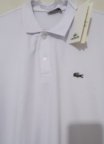 LACOSTE XXL BEDEN PENYE T-SHİRT 