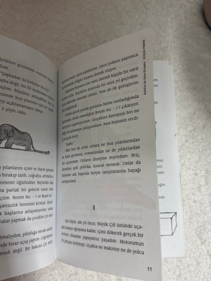 Küçük Prens - Cemal Süreya & Tomris Uyar Çevirisi - Görsel 5