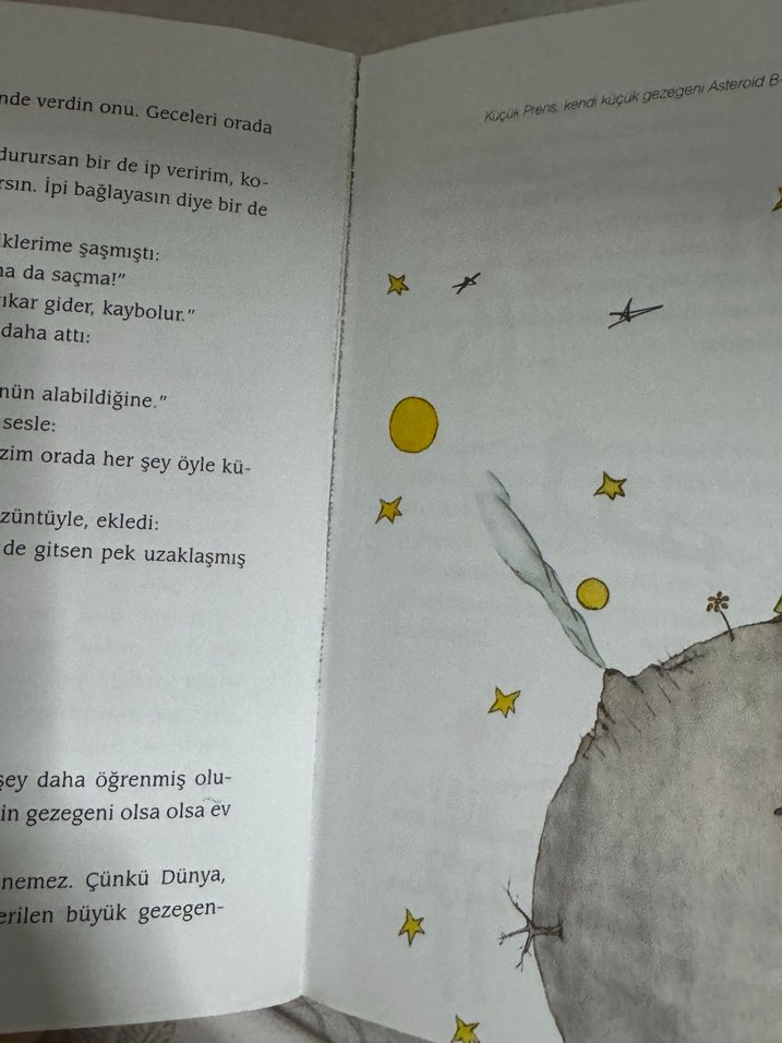 Küçük Prens - Cemal Süreya & Tomris Uyar Çevirisi - Görsel 2