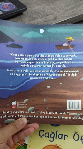  Meraklı çakıl sahilde