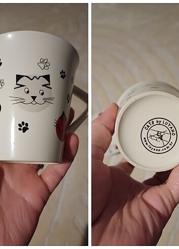  Beden Cats by luyano kedi baskılı kupa tabak takım
