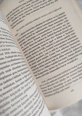 Vatan Dostu Sultan Vahidüddin Romanı