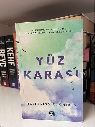 Yüz karası