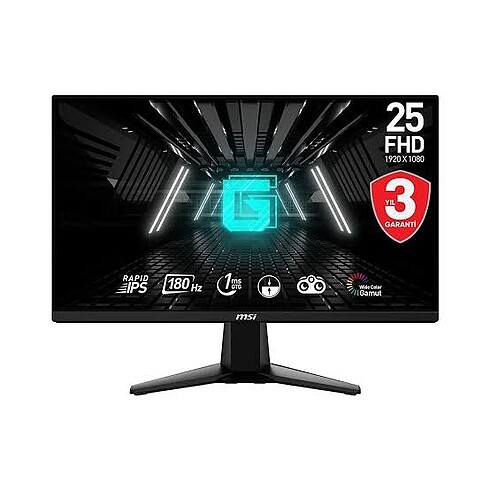 MSI Monitör