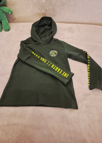 Kapüşonlu Erkek Sweatshirt, Baskılı, Rahat Kesim - Görsel 6