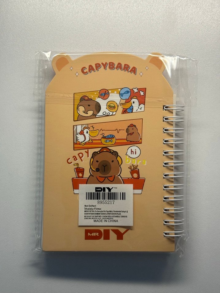 Capybara Renkli Kahverengi Ayı Temalı Spiralli Defter - Görsel 4
