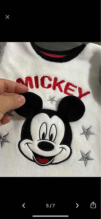 Walt Disney World 18-24 Ay