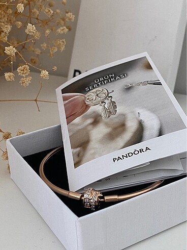  Beden çeşitli Renk Pandora bileklik