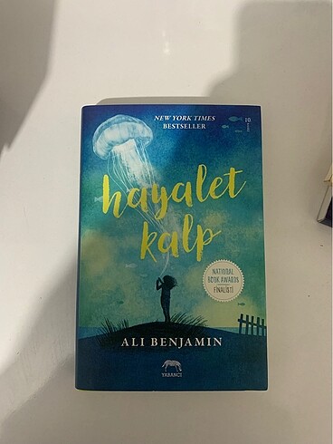 Hayalet Kalp Kitap