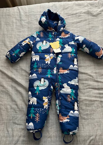 Astronot mont