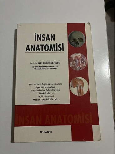 insan anatomisi