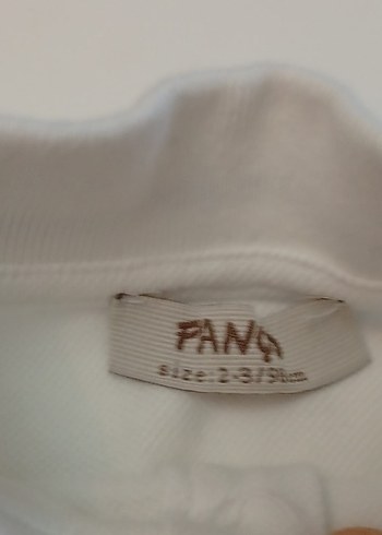 Panço marka Erkek Çocuk Beyaz Kısa Kollu Polo Yaka tişört - Görsel 5