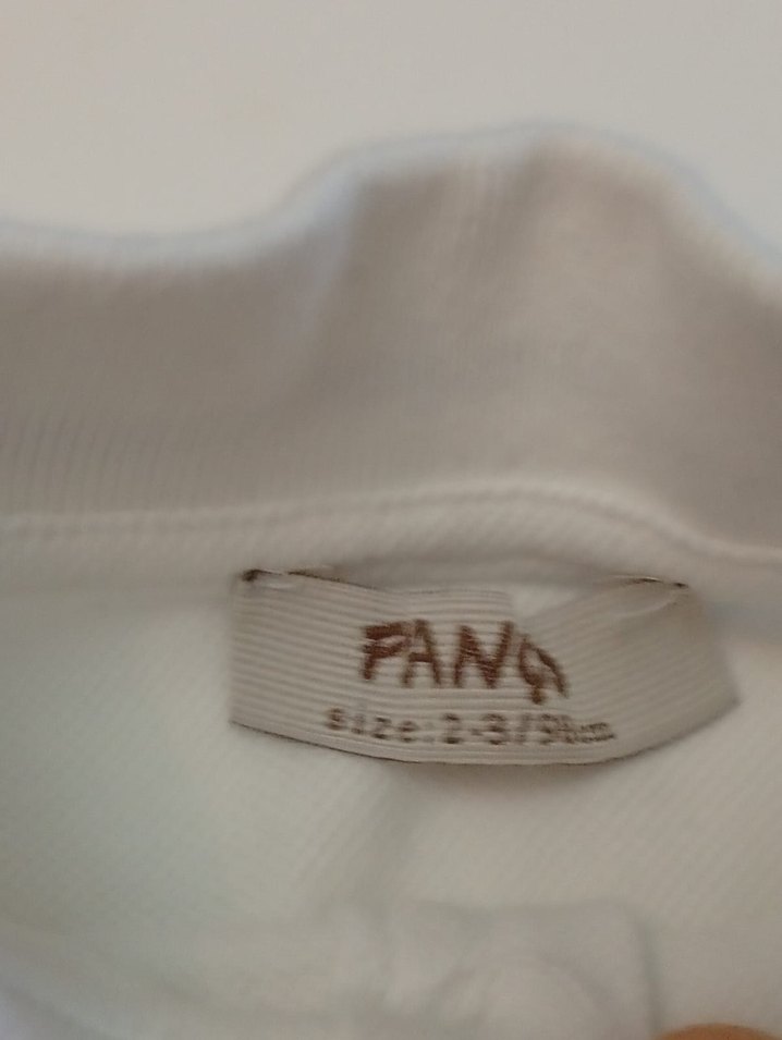 Panço marka Erkek Çocuk Beyaz Kısa Kollu Polo Yaka tişört - Görsel 5