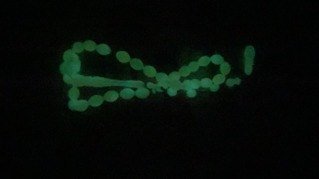 Kedi gözü tesbih - Görsel 4