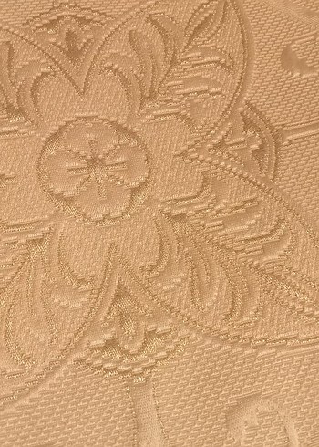 İşlemeli krem rengi Yatak Örtüsü Seti (king size) - Görsel 3