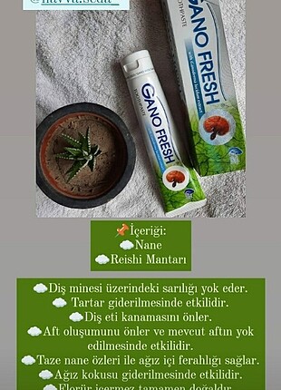 Gant Diş macunu 