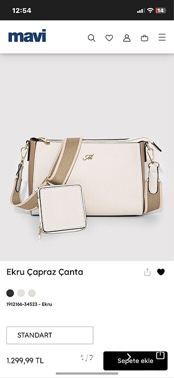 Mavi Çanta