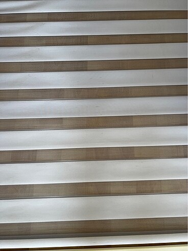 Taç Zebra stor 100 cm