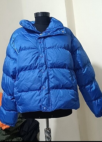Quzu Yeni mont 