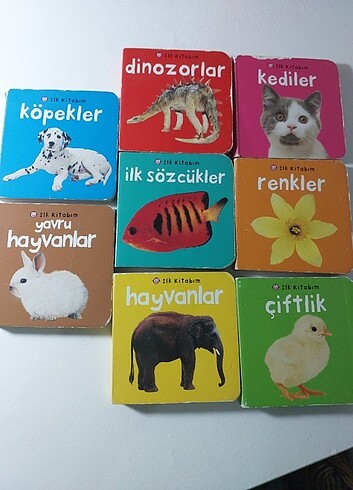 Beden Renk İlk kitabım serisi