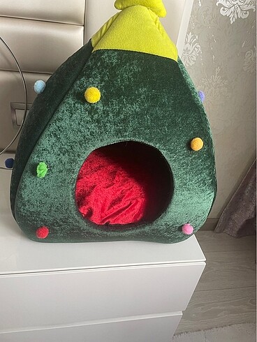 Kedi evi