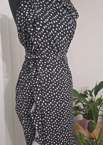 Siyah Puantiyeli Uzun pareyo - Görsel 5