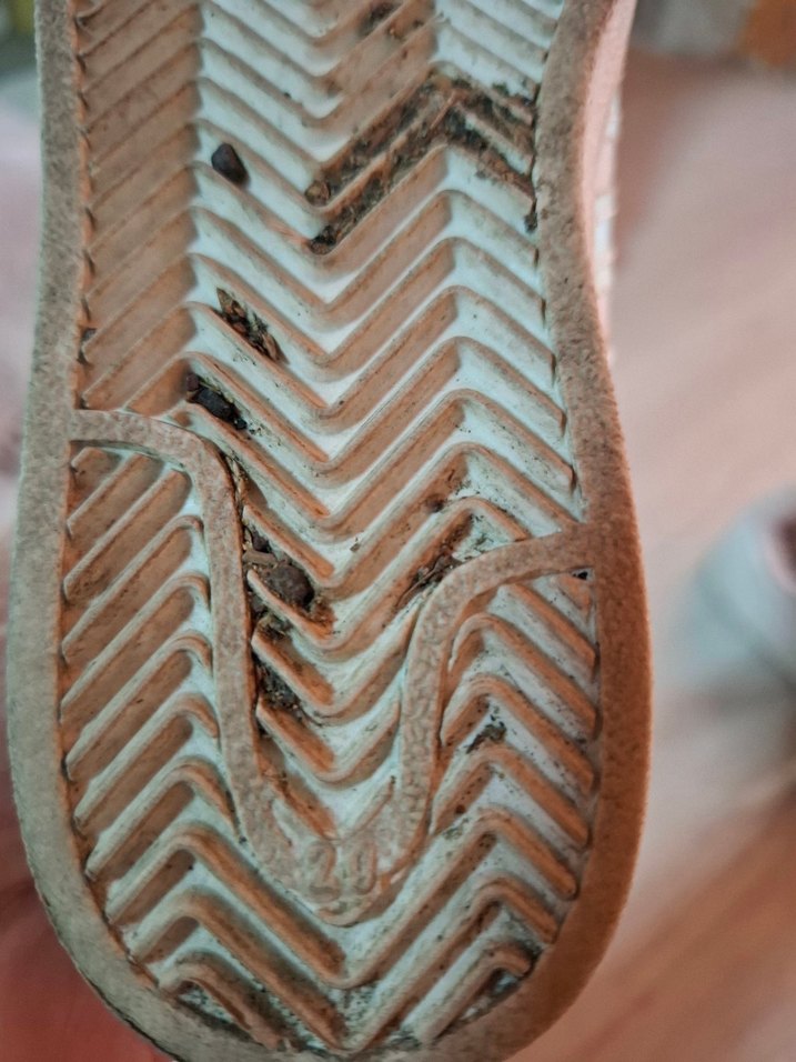 Beyaz Bağcıklı Adidas Superstar çocuk Spor Ayakkabı - Görsel 4