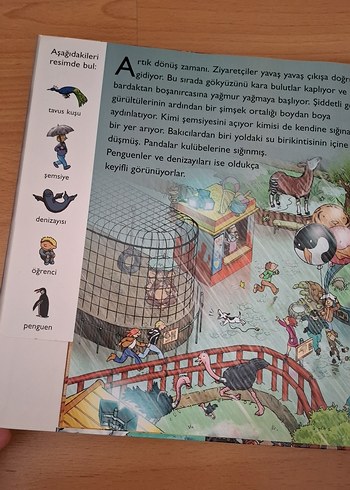Beden Gün Boyunca Hayvanat Bahçesi Çocuk Kitabı