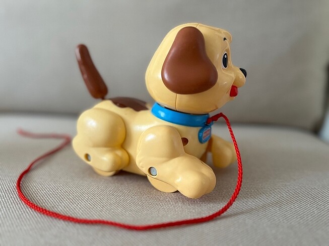 Beden Köpekçik