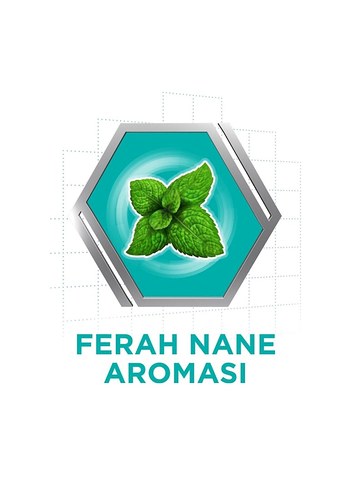 Beden Corega Naneli Diş Protezi Yapıştırıcı Krem 40 g