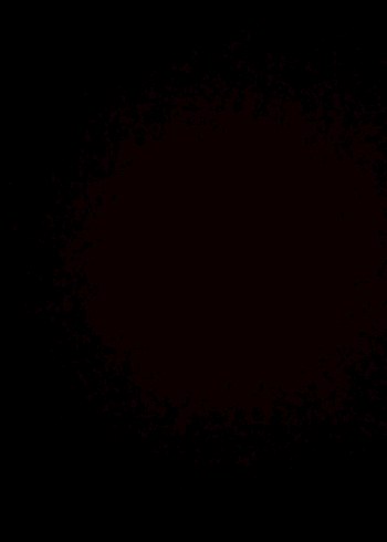 Diğer Newon Bağcıklı Günlük Nefes Alabilen Beyaz spor ayakkabı