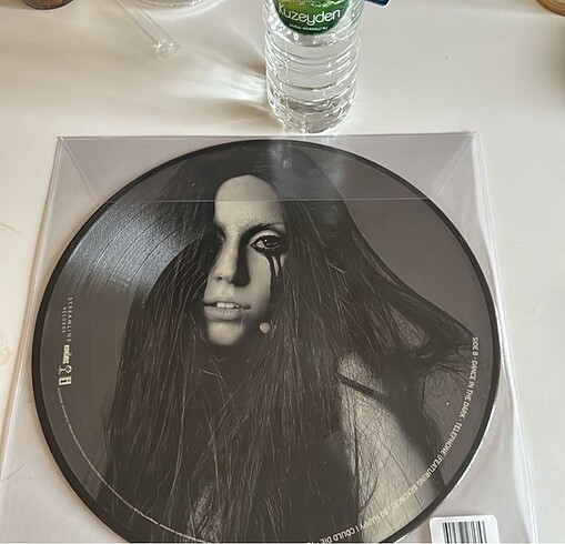Lady Gaga - Fame Monster Picture Disc