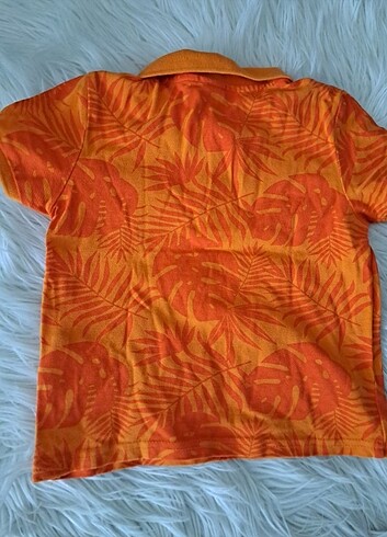 LC Waikiki Polo yaka tişört 