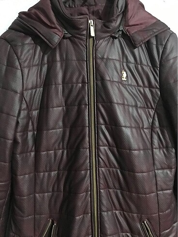 Mürdüm rengi Polo mont