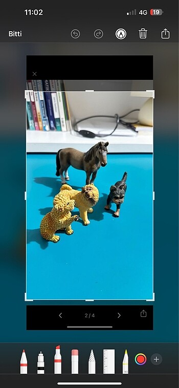  Beden Köpek figürleri