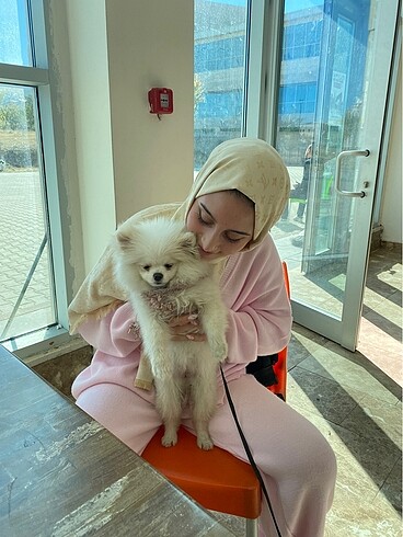Zara Pembe triko takım